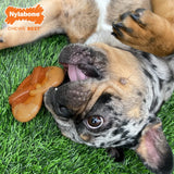 Nylabone Power Chew Giant Pretzel Bacon/Peanut Butter
