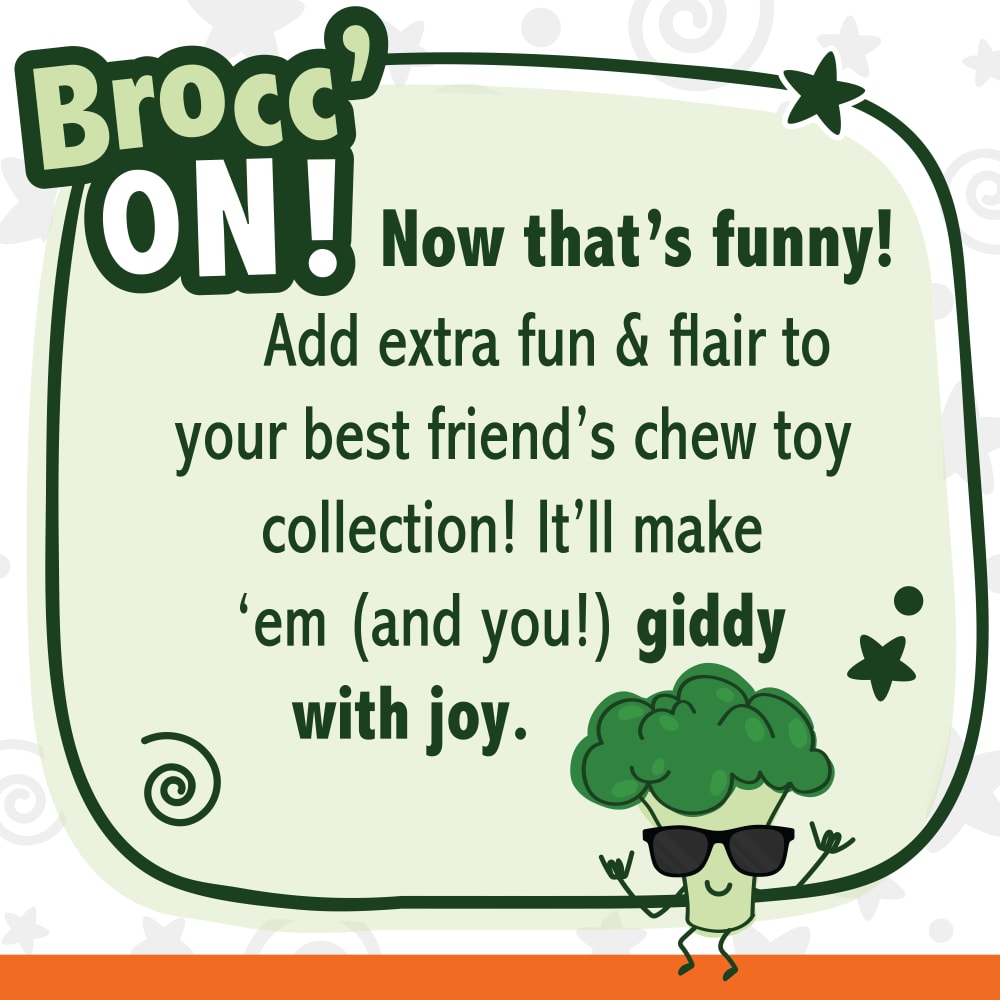 Nylabone Power Chew Broccoli Bacon/Cheese