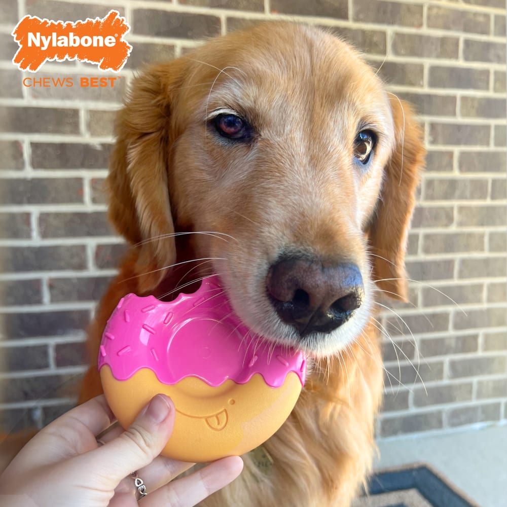Nylabone Power Chew Glazed Donut Bacon