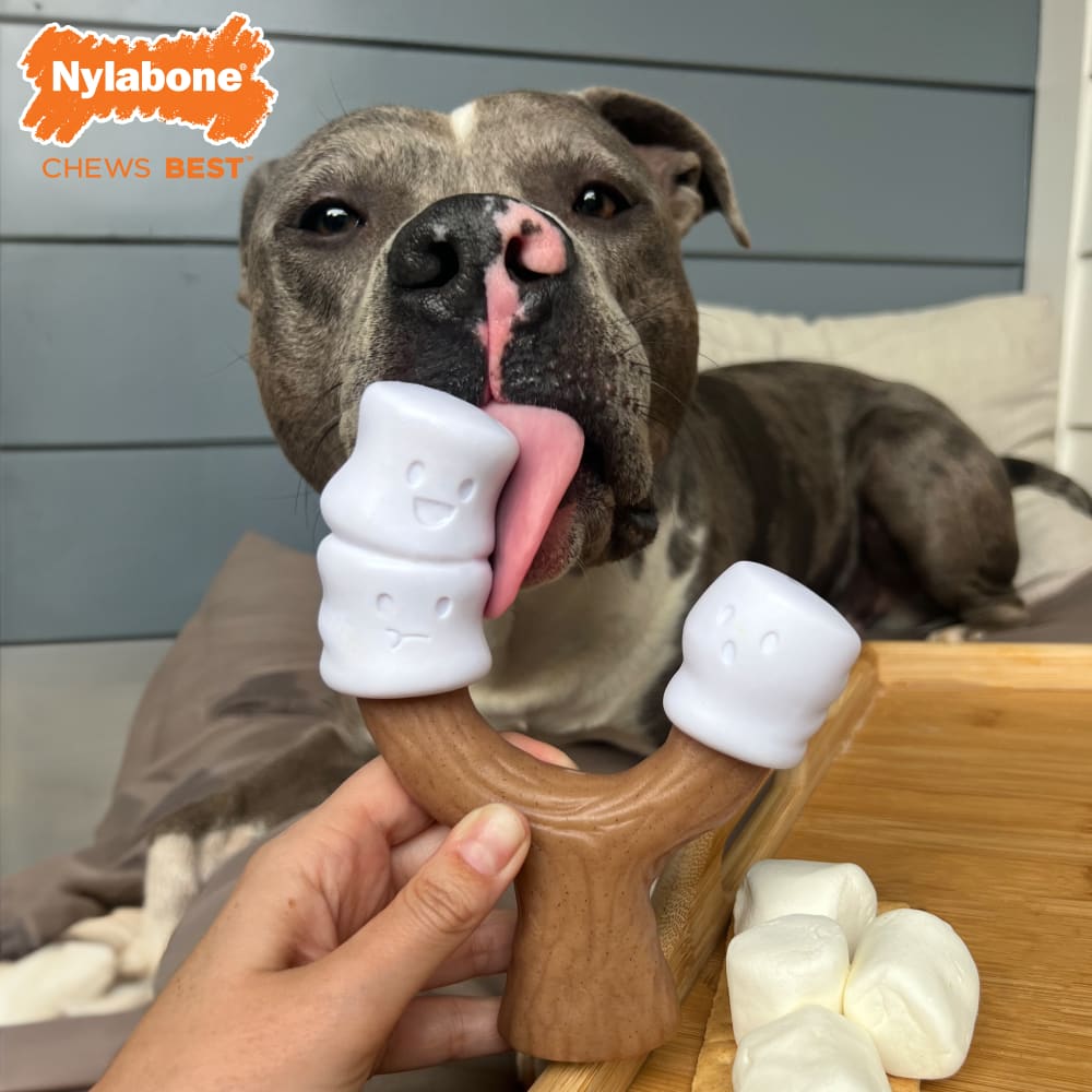 Nylabone Power Chew Toasted Marshmallow on Stick Peanut Butter