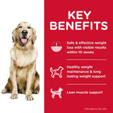 Hills Science Diet Dog Adult Perfect Weight