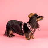 Pablo & Co Adjustable Harness Rodeo