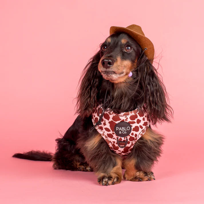 Pablo & Co Adjustable Harness Rodeo
