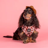 Pablo & Co Adjustable Harness Rodeo