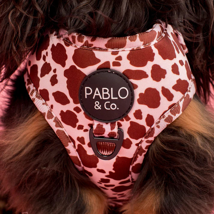 Pablo & Co Adjustable Harness Rodeo