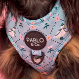 Dog wearing a floral harness with 'Pablo & Co.' branding