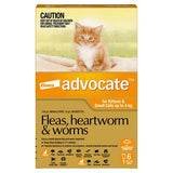 Advocate Cat 0 - 4kg Orange