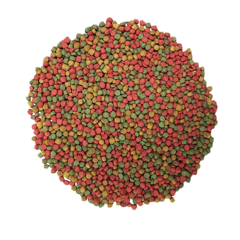 URS Lizard Food Juvanile