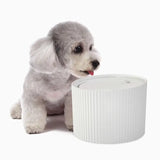 HugSmart Pet - Smart Paws Water Fountain