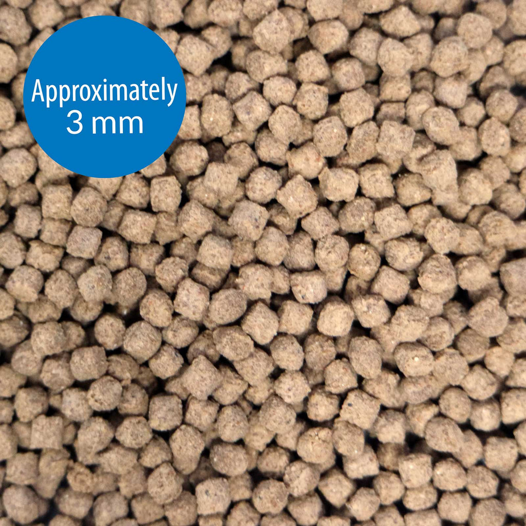 API Bottom Feeder Pellets