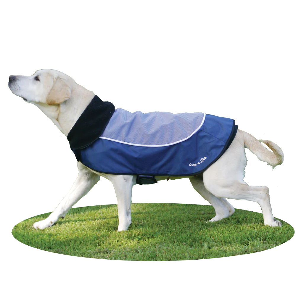 Rosewood Night Bright LED Safety Jacket