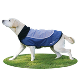 Rosewood Night Bright LED Safety Jacket