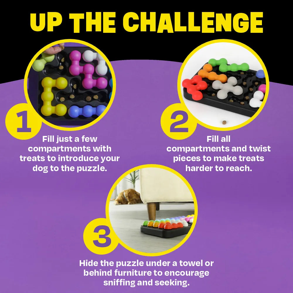 Brightkins Kanoodle Dog Edition