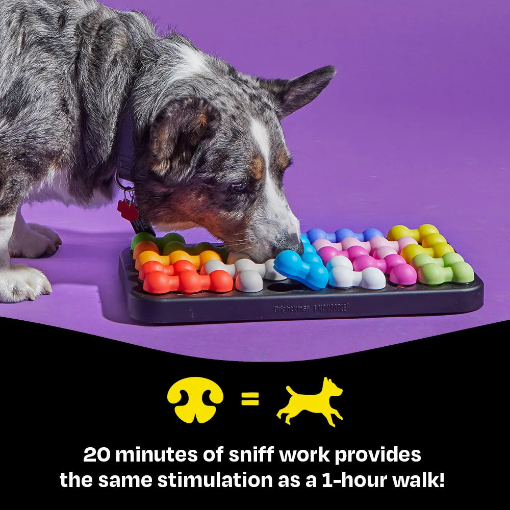 Brightkins Kanoodle Dog Edition