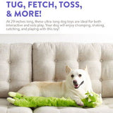 Charming Pet Longidudes Extra Long - Dino