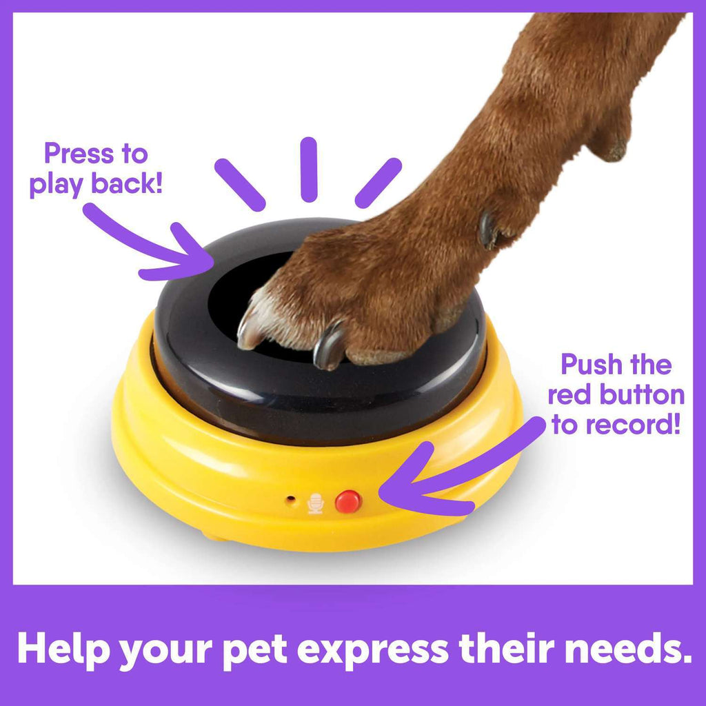 Hunger For Words - Talking Pet Next Words: Names