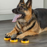 Hunger For Words - Talking Pet Next Words: Names