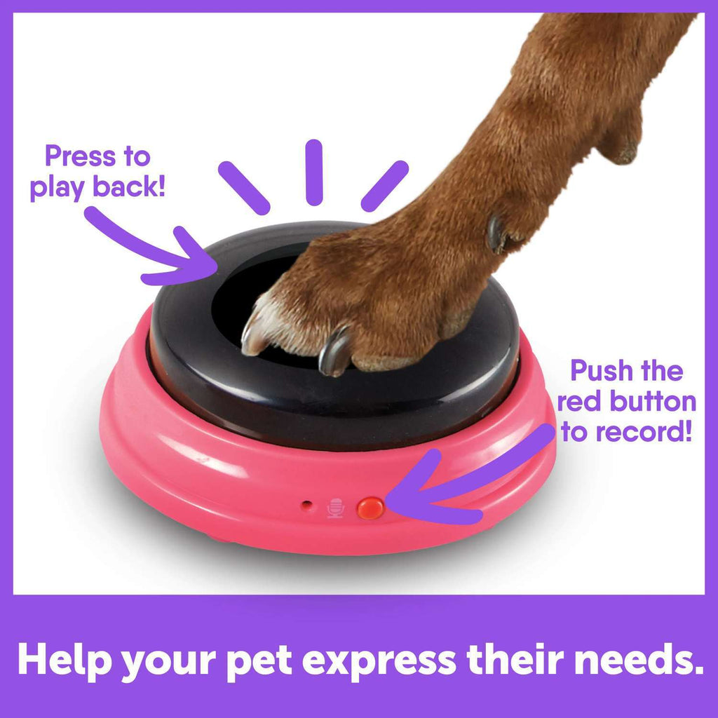 Hunger For Words - Talking Pet Next Words: Locations