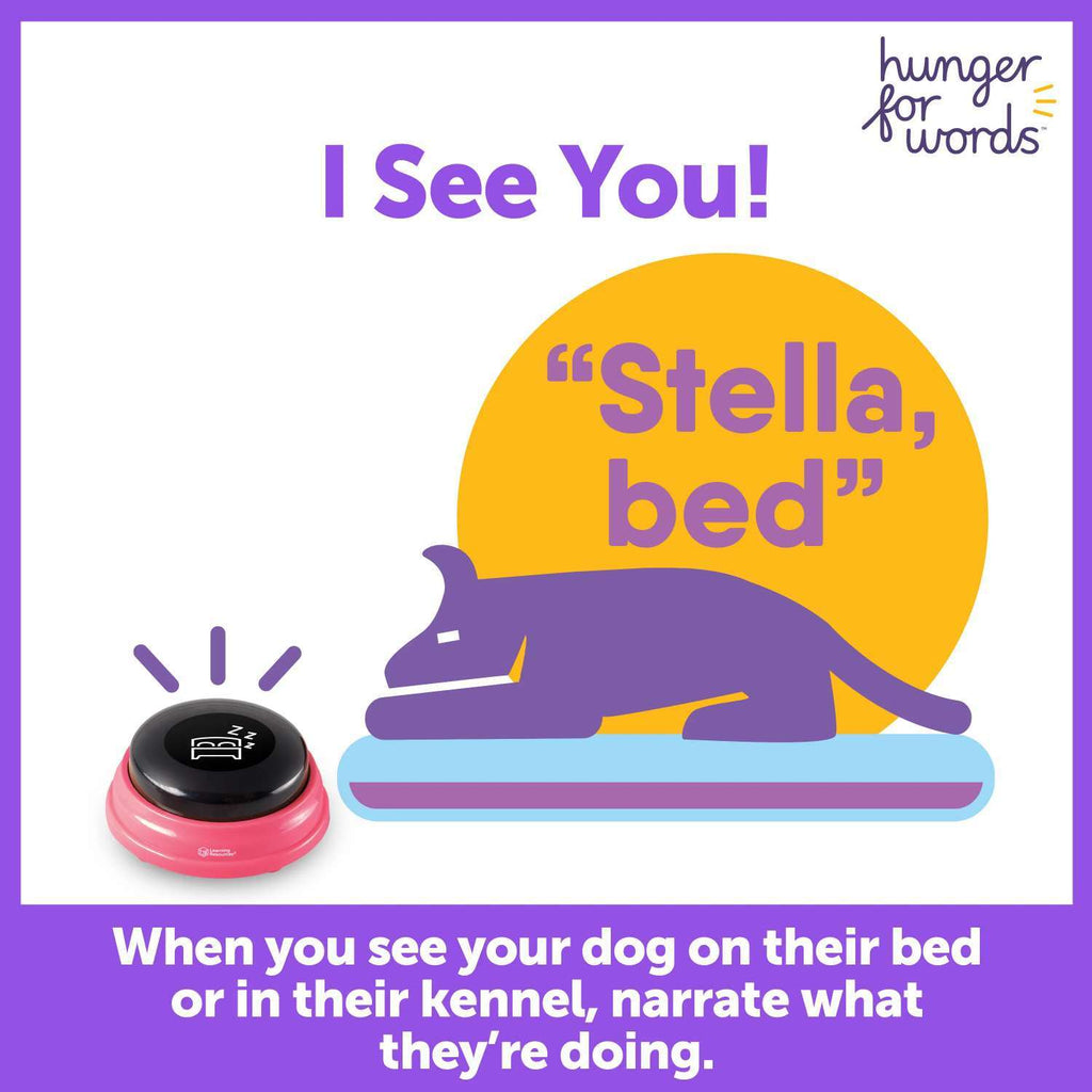 Hunger For Words - Talking Pet Next Words: Locations