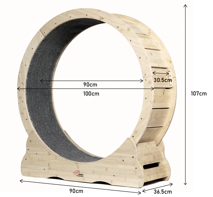 Whiskers Wonderland - Bamboo Cat Running Wheel
