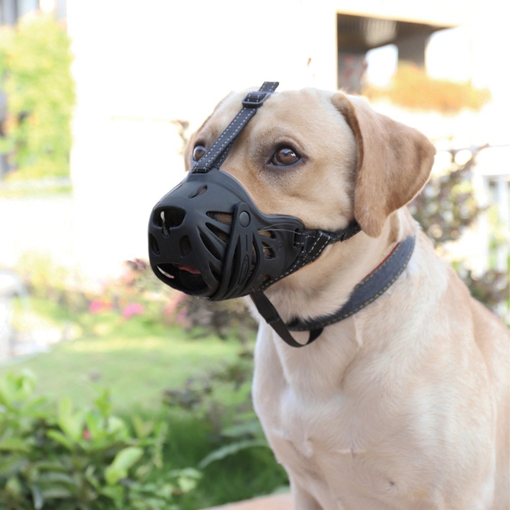 Zeez- Comfort Dog Muzzle