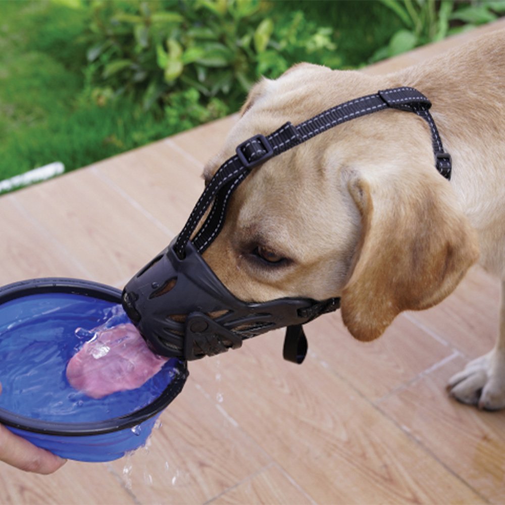 Zeez- Comfort Dog Muzzle
