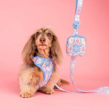 Pablo & Co Treat Pouch Petal