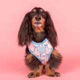 Pablo & Co Adjustable Harness Baby Blue Bows