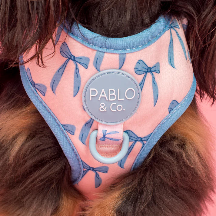 Pablo & Co Adjustable Harness Baby Blue Bows