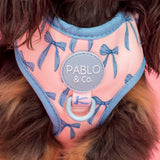 Pablo & Co Adjustable Harness Baby Blue Bows