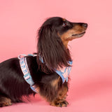Pablo & Co Adjustable Harness Baby Blue Bows