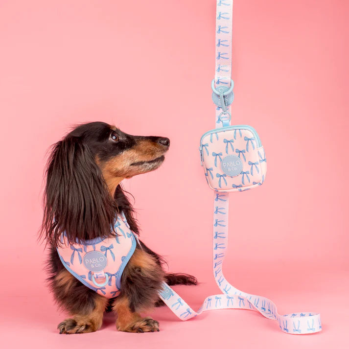 Pablo & Co Adjustable Harness Baby Blue Bows