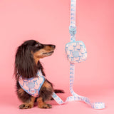 Pablo & Co Adjustable Harness Baby Blue Bows