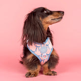 Pablo & Co Adjustable Harness Baby Blue Bows