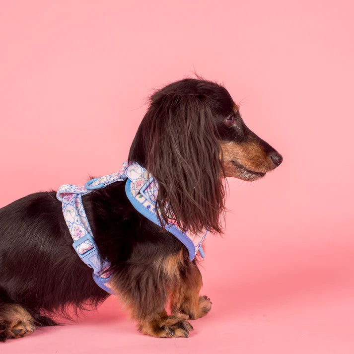 Pablo & Co Adjustable Harness Petal