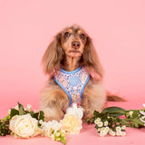 Pablo & Co Adjustable Harness Petal