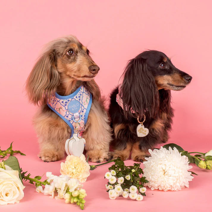 Pablo & Co Adjustable Harness Petal