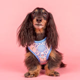 Pablo & Co Adjustable Harness Petal