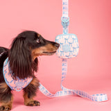 Pablo & Co Treat Pouch Baby Blue Bows