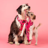 Pablo & Co Adjustable Harness Strawberries