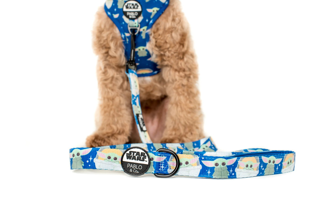 Pablo & Co - Dog Leash Star Wars Grogu
