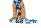 Pablo & Co - Dog Leash Star Wars Grogu