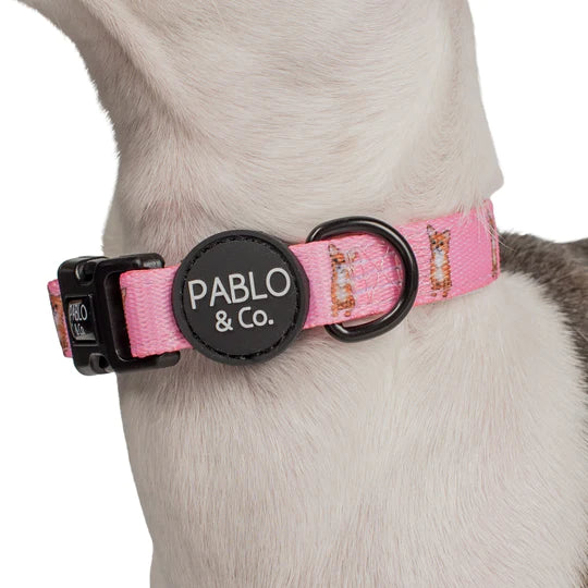 Pablo & Co Dog Collar Chihuahua Upmarket Pets Melbourne