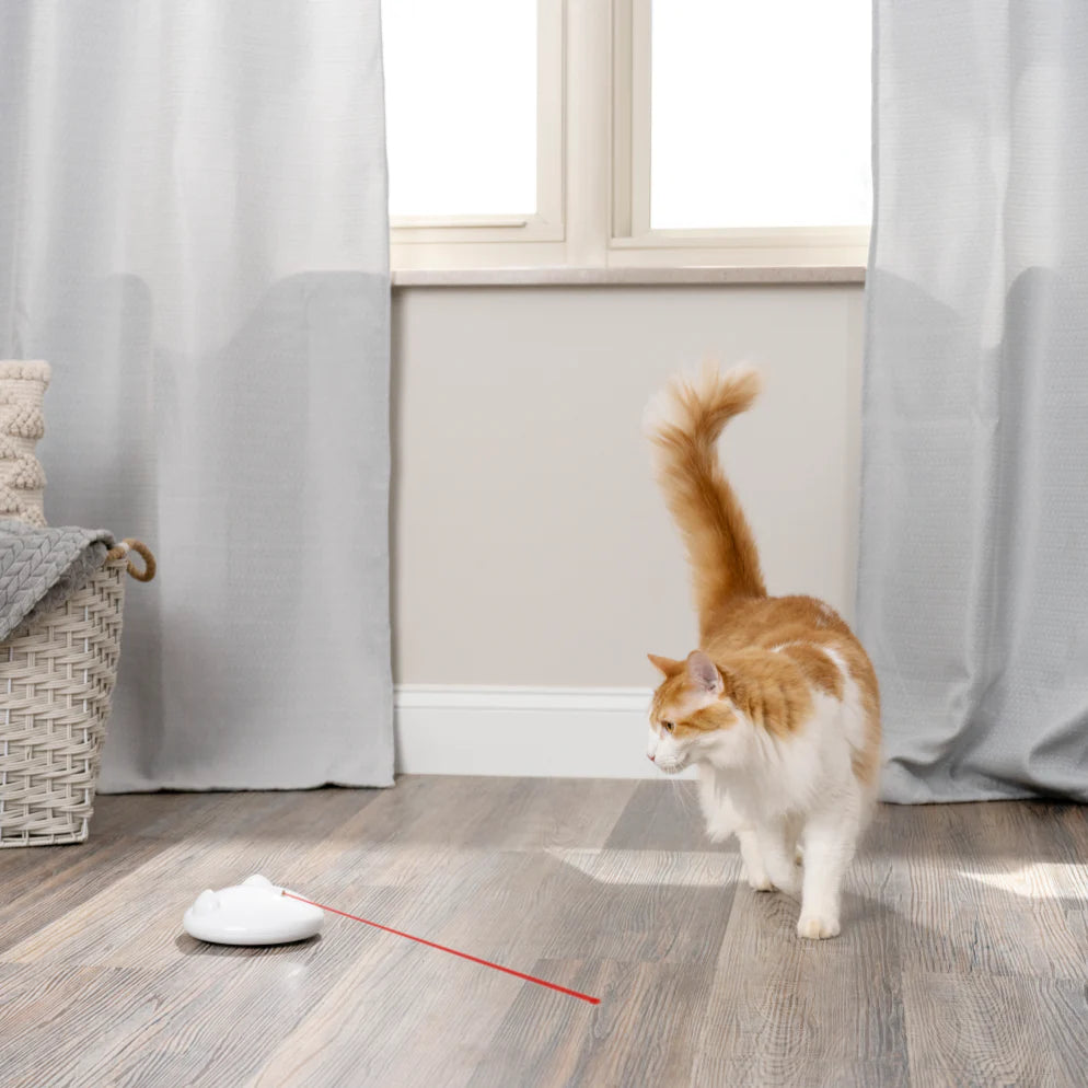 FroliCat ZIP Automatic laser light Upmarket Pets Melbourne