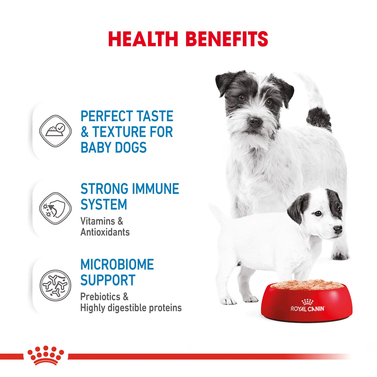 Royal Canin Mother and Baby Dog Mousse Upmarket Pets Melbourne