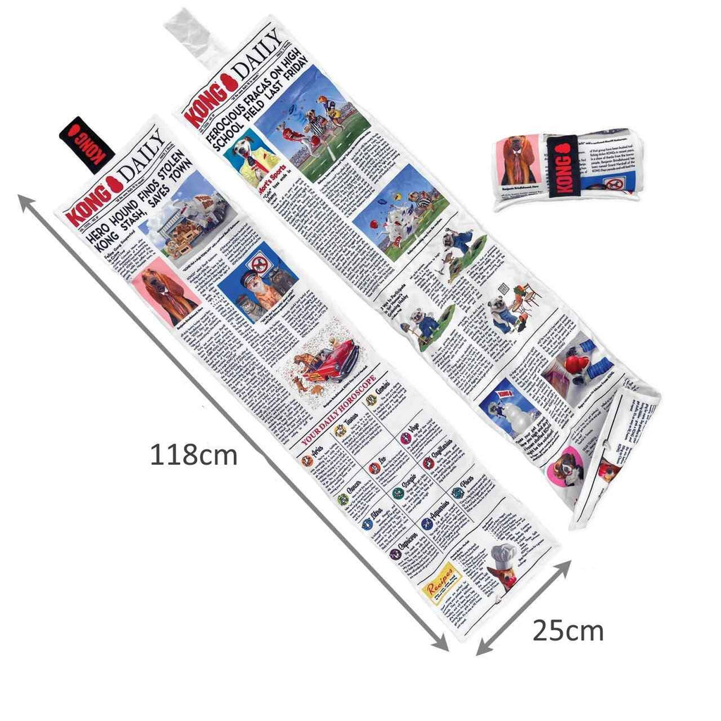 Kong Newspaper