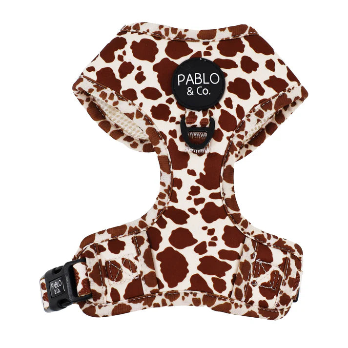Pablo & Co Adjustable Harness Rodeo
