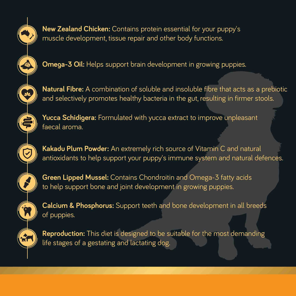 Talentail Ultimate Chicken Puppy