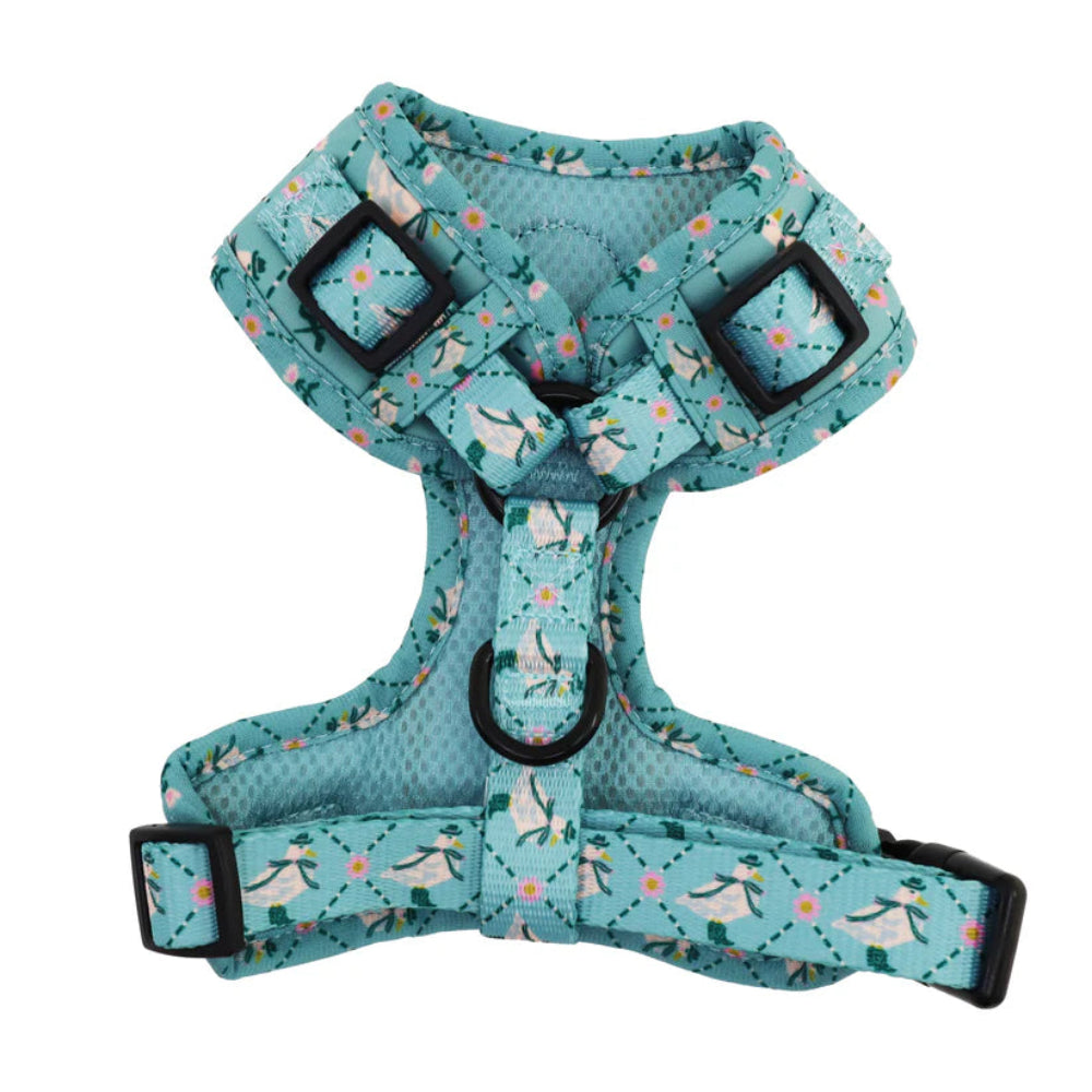 Pet harness with bird pattern on a white background
