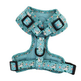 Pet harness with bird pattern on a white background